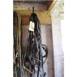 Head Stalls with Hackamores (3)