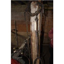 Dog Collar and Harness