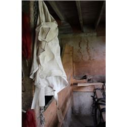 Netting to Train a Horse's Mane