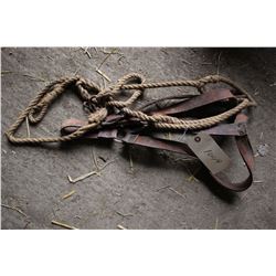 Leather & Rope Halters