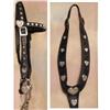 Image 3 : Saddle with Matching Bridle Martingale