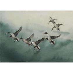 Roy Mason. Watercolor.