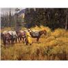 Image 1 : Jim C. Norton. Oil on Board.