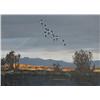 Image 1 : Roy Kerswill. Oil on Canvas.