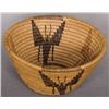 Image 1 : Panamint Basket.