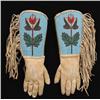 Image 1 : Platean Beaded Gauntlets.