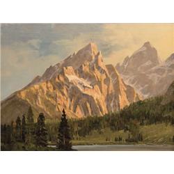 Jim Wilcox. Oil on Canvas.