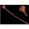 Image 1 : Northern Cheyenne Rattle.