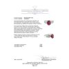 Image 5 : 2.64 ctw Ruby and Diamond Ring - 14KT White Gold