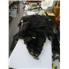 Image 1 : BLACK BEAR HIDE