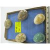 Image 1 : 5 POLISHED STONED EGGS