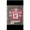 Image 1 : CUSTOM FRAMED PAVEL DATSYUK DETROIT RED WINGS JERSEY (AJ COA)