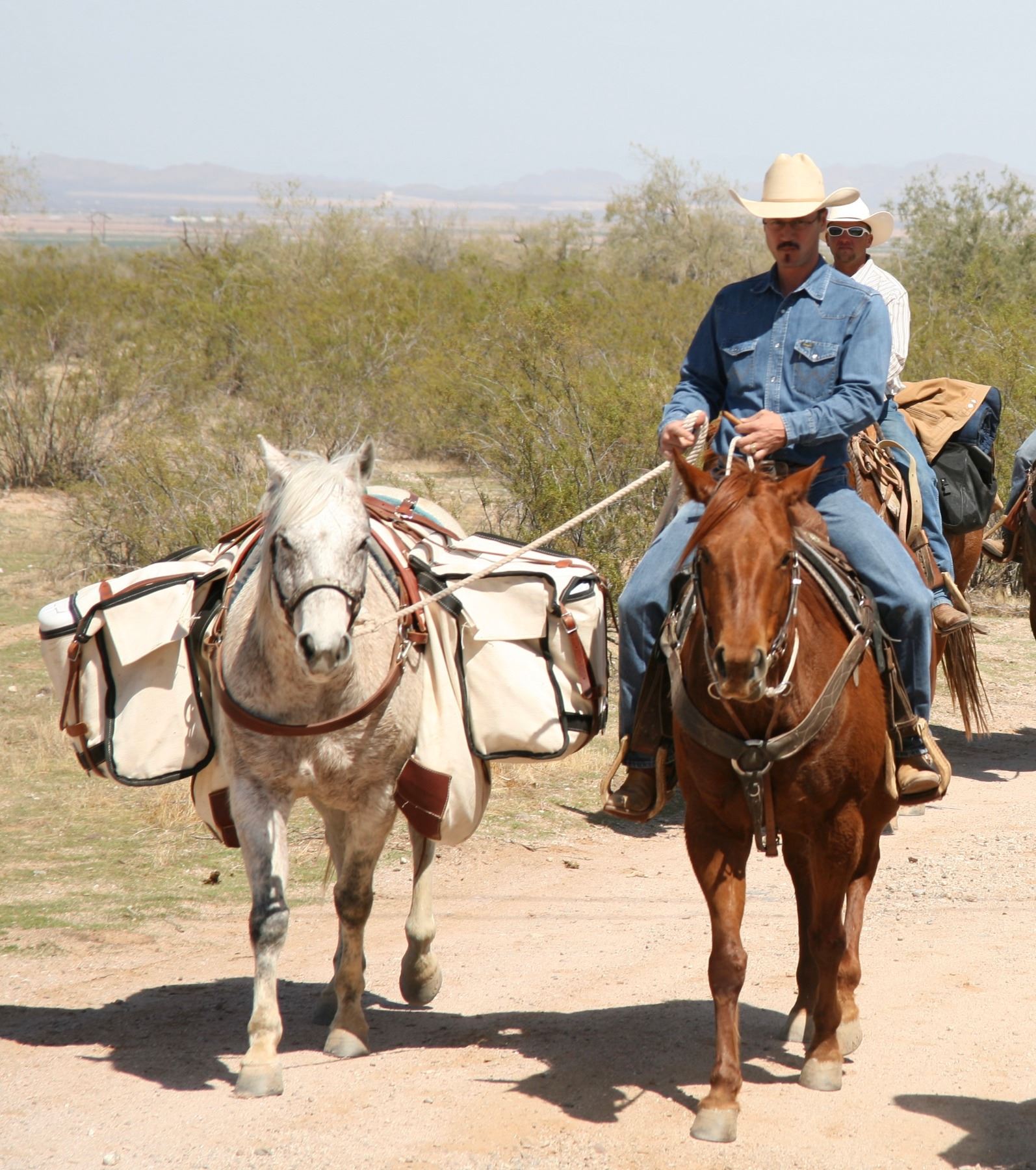 Complete Pack Saddle Rig