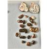 Image 8 : Apache Tears, Fire Agates and Pyrite