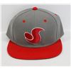 Image 1 : RED AND GREY DVS SNAP BACK BALL CAP