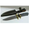 Image 1 : STAINLESS STEEL BOWIE KNIFE WITH BUFFALO HORN &