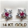 Image 1 : 5) 14 KARAT WHITE GOLD PAIR OF RUBY & DIAMOND STUD