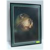 Image 1 : 29" X 22" SEAL PHOTOGRAPH