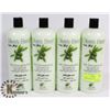 Image 1 : LOT OF 4 OLIVES BEST STRENGTHENING CONDITIONER