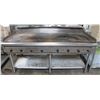 Image 1 : QUEST 6 FOOT GRIDDLE W/ EQUIPMENT STAND
