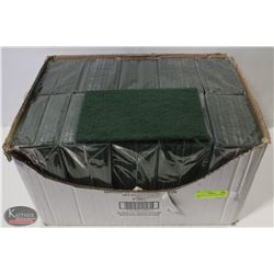 CASE OF 6" X 9" NYLON SCOURING PADS