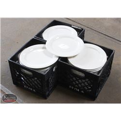 LARGE LOT OF 65 - 12" DINNER PLATES