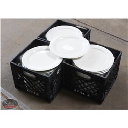 LARGE LOT OF 65 - 12" DINNER PLATES