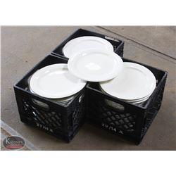 LARGE LOT OF 65 - 12" DINNER PLATES