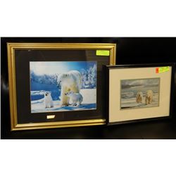 SET OF 2 FRAMED POLAR BEAR PICTURES - ONE