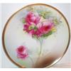 Image 1 : Royal Munich Rose Decorated Plate #863393