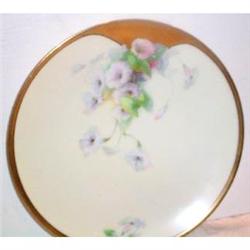 Hand Painted Morning Glory Decorated Plate #863408