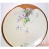 Image 1 : Hand Painted Morning Glory Decorated Plate #863408