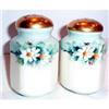 Image 1 : Hand Painted Daisy Decorated Nippon Shakers #863654