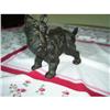 Image 1 : Cast Iron Scottie Door Stop #863900