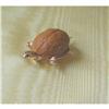 Image 1 : ESTATE 14K Y GOLD TURTLE PIN w. NATURAL SHELL #878724