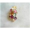 Image 1 : VINTAGE GUMPS MULTI-GEM & DIAMOND PIN #878739