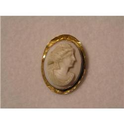 BEZEL SET SHELL CAMEO PIN #878942