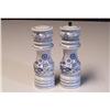 Image 1 : Decorative,  Salt/Pepper Shakers #916315