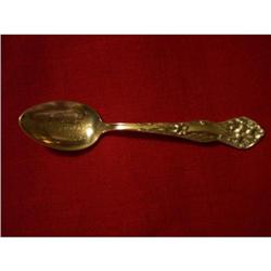 STEVENS POINT,WISCONSIN Collectors Spoon #916771