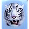 Revered WHITE TIGER inside painted SNUFF Bottle #899919