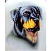 Image 1 :  Rottweiler~PET Portrait  SNUFF Bottle #899920