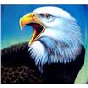 Image 1 :  MAJESTIC Bird of Prey EAGLE inside painted #899963