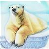  POLAR BEAR Inside Painted Snuff FREE SHIPPING #900209
