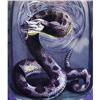 Image 1 : RATTLESNAKE Professional  inside painted Snuff #900360