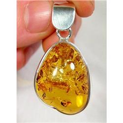 Moments Frozen in Time BALTIC Amber  Sterling #900376