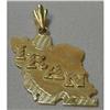Image 1 : 14K Gold Pendant in Form of Map of Iran #902945