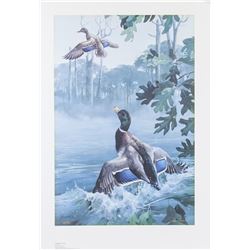 Mario Fernandez Watercolor Signed Litho 732/980