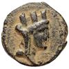 Image 1 : Seleucis & Pieria Apameia 1st Century BC AE18