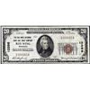 Image 1 : 1929 $20 The Red Wing NB & Trust Company Red Wing, MN CH# 13396 National Currency Note