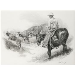 Wayne Baize | Pushed Up the Trail